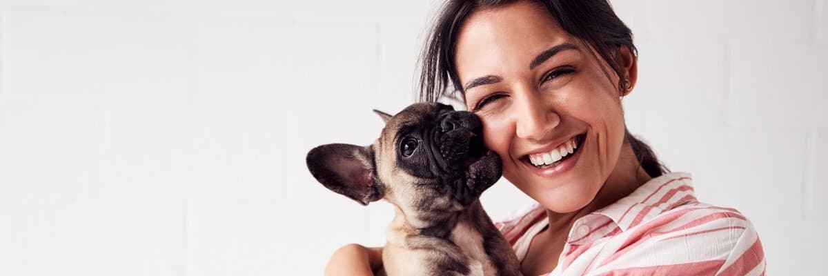 How much should I pay for a French bulldog? All The Facts. 1