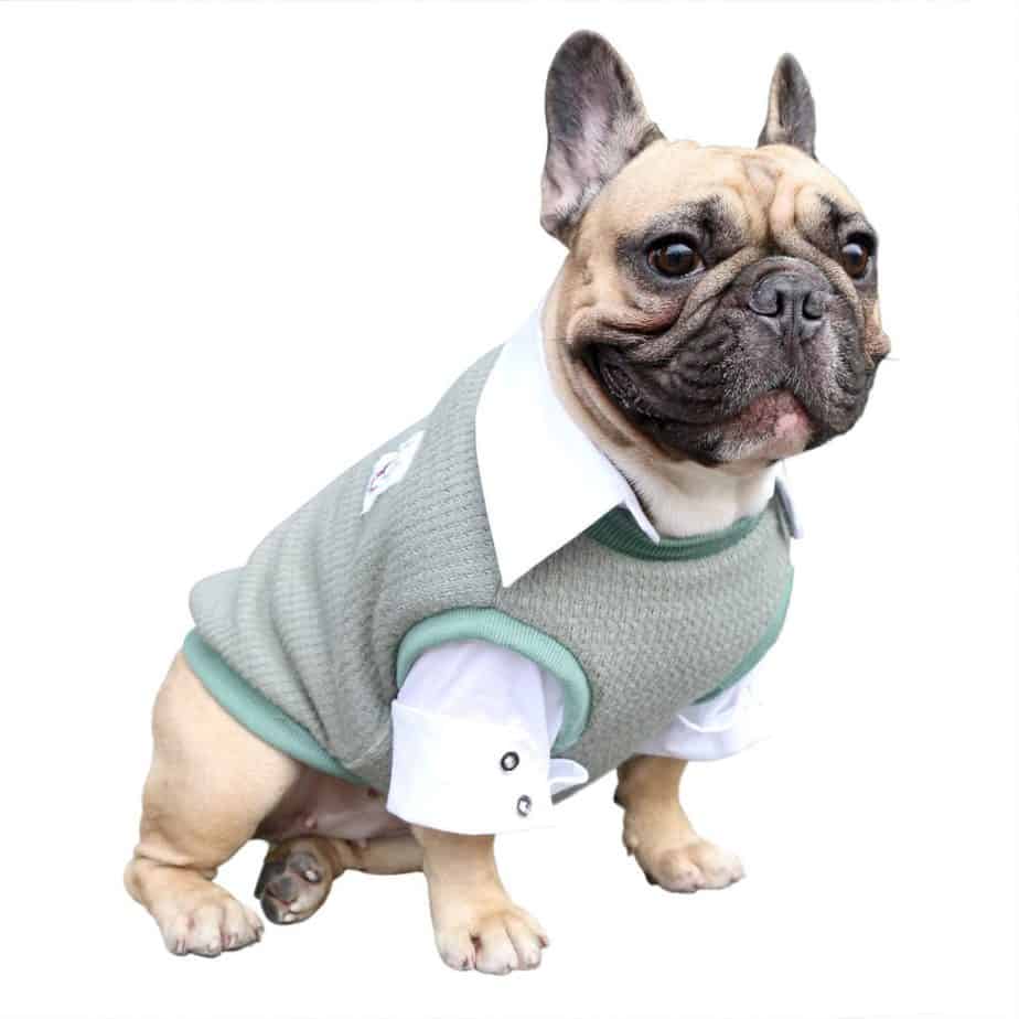 Top 6 French Bulldog Coats/Jackets For Winter. 3
