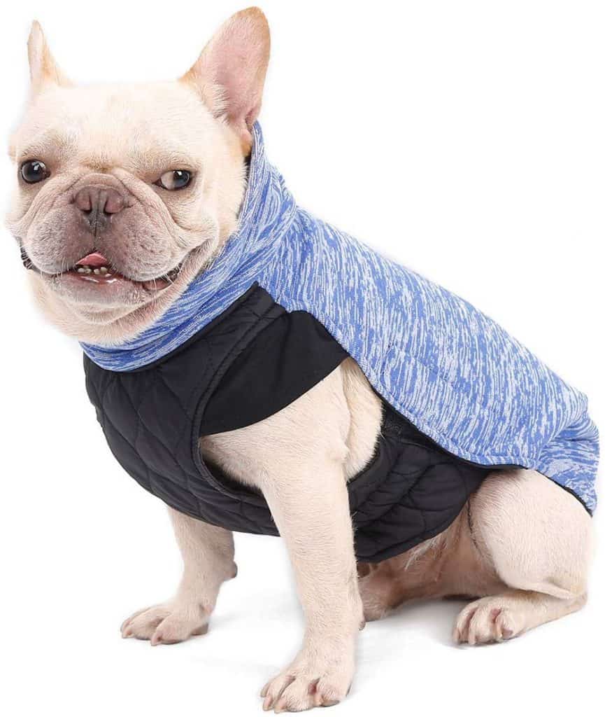 Top 6 French Bulldog Coats/Jackets For Winter. 5