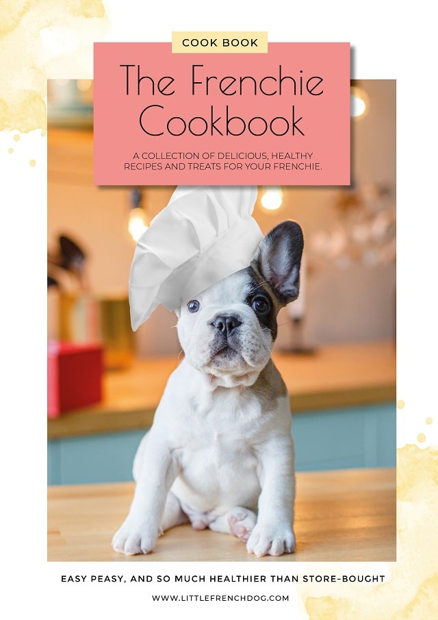 What Can I Cook For My French Bulldog? Learn Today! 3