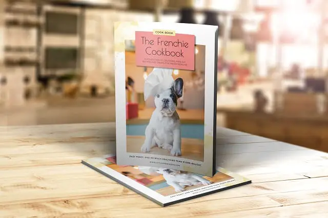 What Can I Cook For My French Bulldog? Learn Today! 2